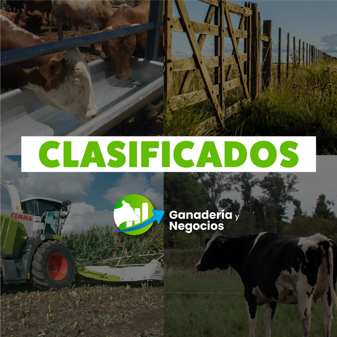 Tranqueras y corrales galvanizados de alta resistencia