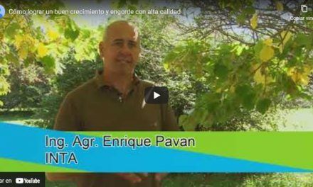 Cómo lograr un buen crecimiento y engorde con alta calidad