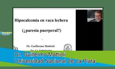 El calcio en el metabolismo de la vaca lechera por parir