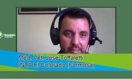 Garrapatas: estrategias efectivas y rentables para su tratamiento