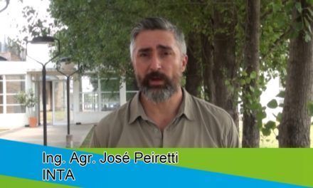 Novedades en henificación de alfalfa