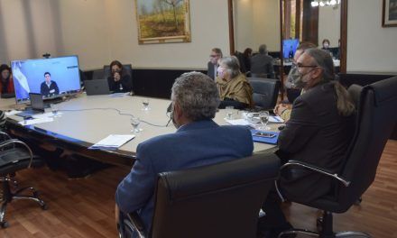 Resultados del Plan Ganadero en el Consejo Federal Agropecuario