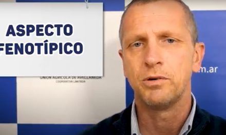 ¿Cómo seleccionar los mejores reproductores?