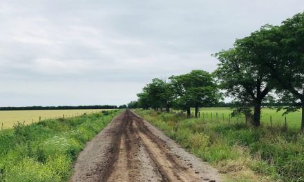 General Madariaga adhirió a la tercera etapa del Plan de Caminos Rurales