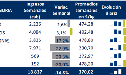 Resumen semanal de mercado ROSGAN