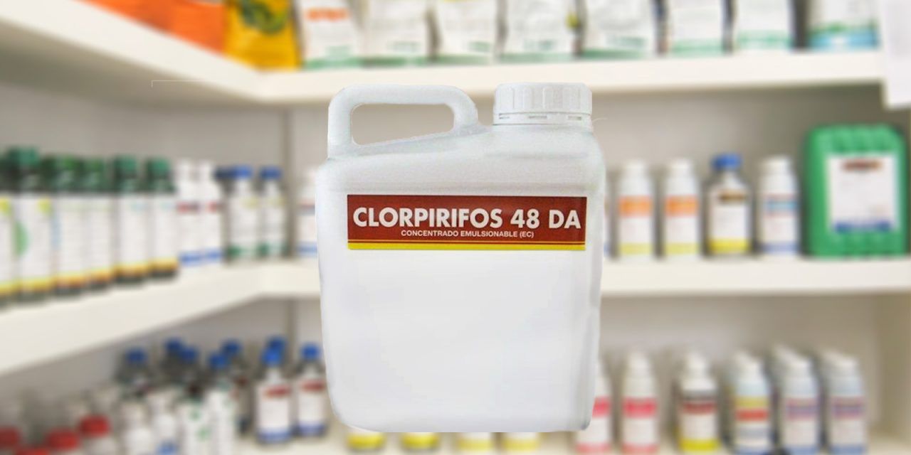 Se prohíbe el uso de clorpirifos en cualquiera de sus formas y usos.