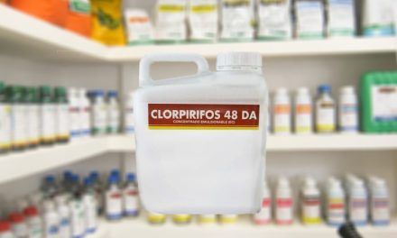 Se prohíbe el uso de clorpirifos en cualquiera de sus formas y usos.