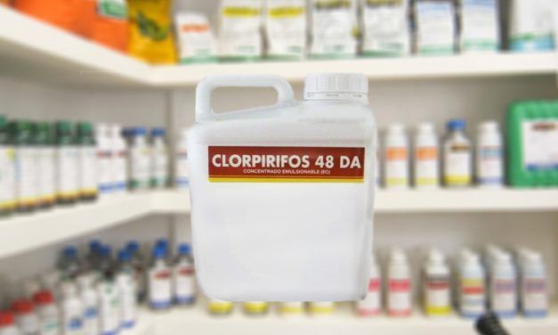 Se prohíbe el uso de clorpirifos en cualquiera de sus formas y usos.