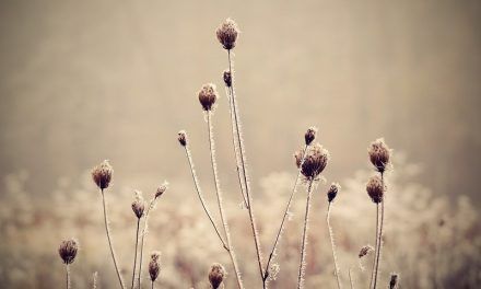 INFORME DE PERSPECTIVA AGROCLIMÁTICA SEMANAL