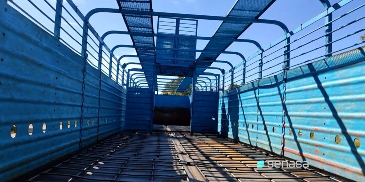 SENASA suspende la verificación de transportes de animales