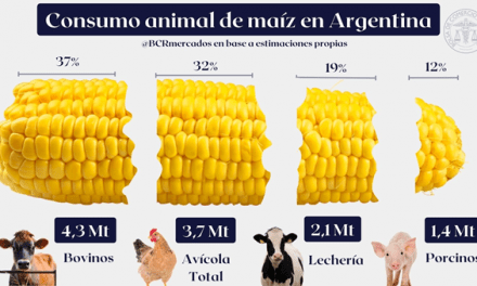 El consumo estimado de maíz 2022/23 para forraje se ajusta a 11,5 Mt