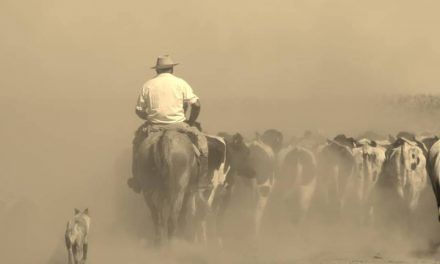 Aumento salarial rural: decisión unilateral sin consensos que sigue atacando a la producción, en lugar de acabar con la inflación