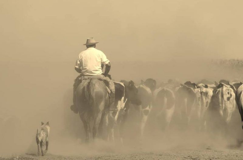 Aumento salarial rural: decisión unilateral sin consensos que sigue atacando a la producción, en lugar de acabar con la inflación