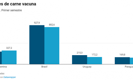 Argentina, el único país del Mercosur que incrementó sus exportaciones de carne vacuna
