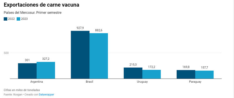 Argentina, el único país del Mercosur que incrementó sus exportaciones de carne vacuna