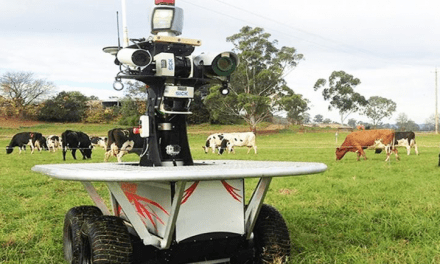 Cuatro robots que están revolucionando la agroindustria