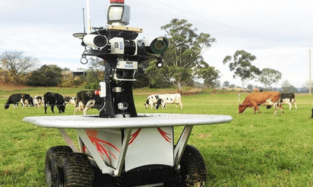 Cuatro robots que están revolucionando la agroindustria