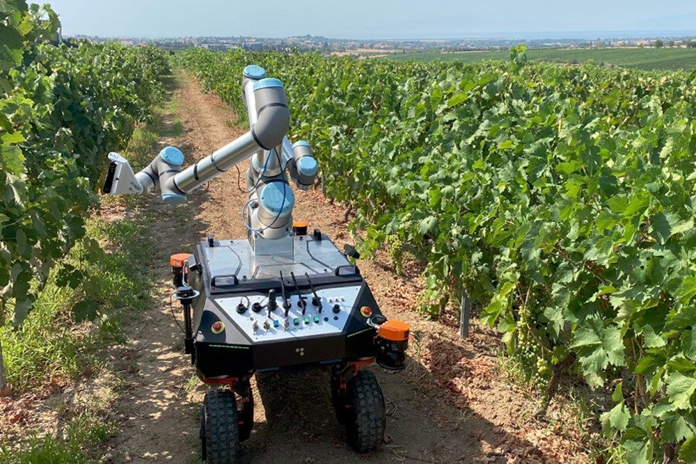 Robot en un cultivo 