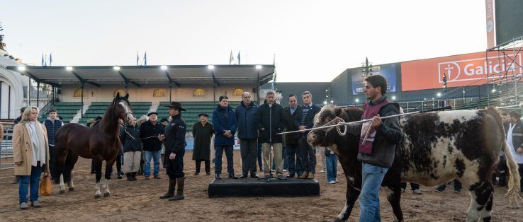 Ingresaron los primeros animales a la Expo Rural de Palermo
