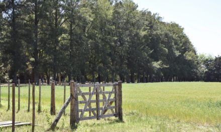 Buenos Aires lanza el “Programa de Recuperación Productiva para Arrendatarios”