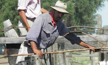 CAMBIO DE ESCENARIO: La balanza comienza a inclinarse a favor de la invernada.