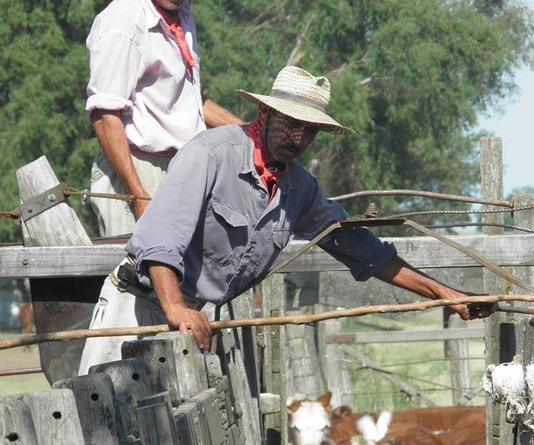 CAMBIO DE ESCENARIO: La balanza comienza a inclinarse a favor de la invernada.
