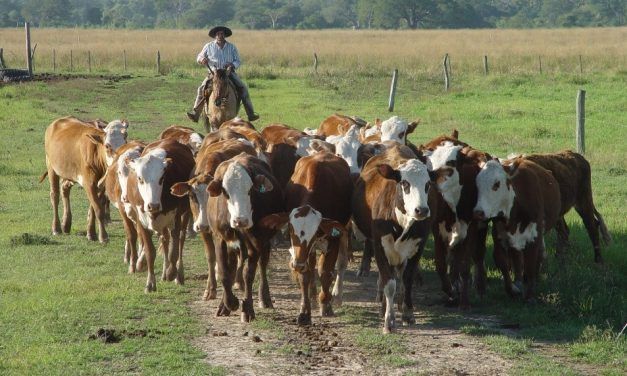 Salario rural: se actualizaron sus valores