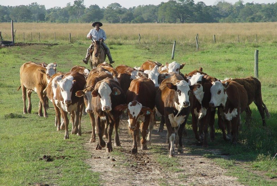 Salario rural: se actualizaron sus valores