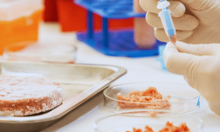 Garantizar la autenticidad de la carne vacuna, es posible