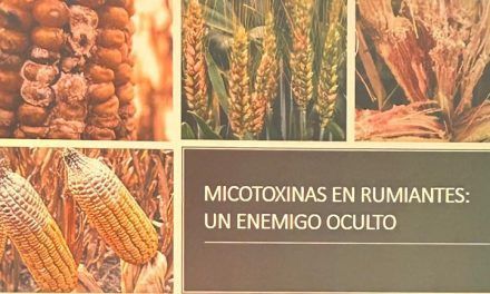 Micotoxinas: impacto sobre el rodeo y estrategias de control