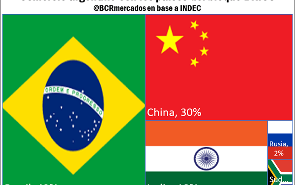 Argentina en el bloque BRICS ¿Cómo es la relación comercial con estos países?