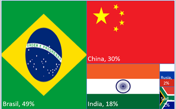 Argentina en el bloque BRICS ¿Cómo es la relación comercial con estos países?