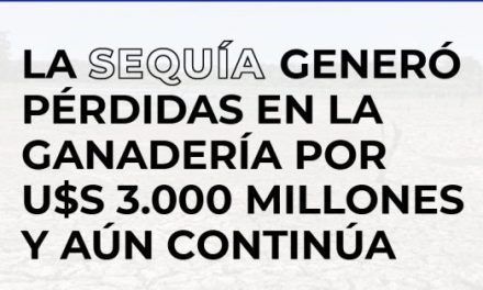En ganadería, la sequía generó pérdidas por U$S 3.000 millones