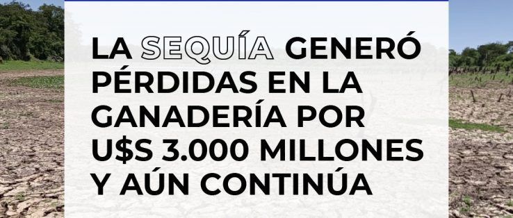 En ganadería, la sequía generó pérdidas por U$S 3.000 millones