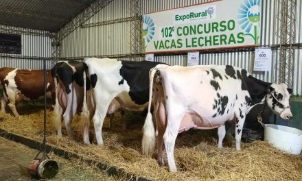 Comenzó el 102 Concurso de Vacas Lecheras en Rafaela