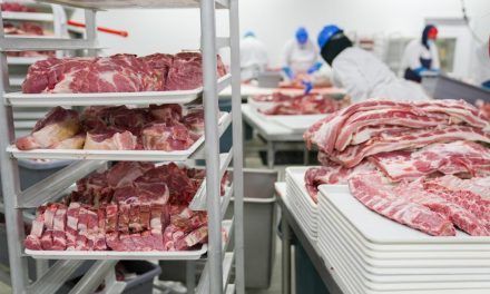 DEMANDA CHINA: sin miras de recuperación de valores