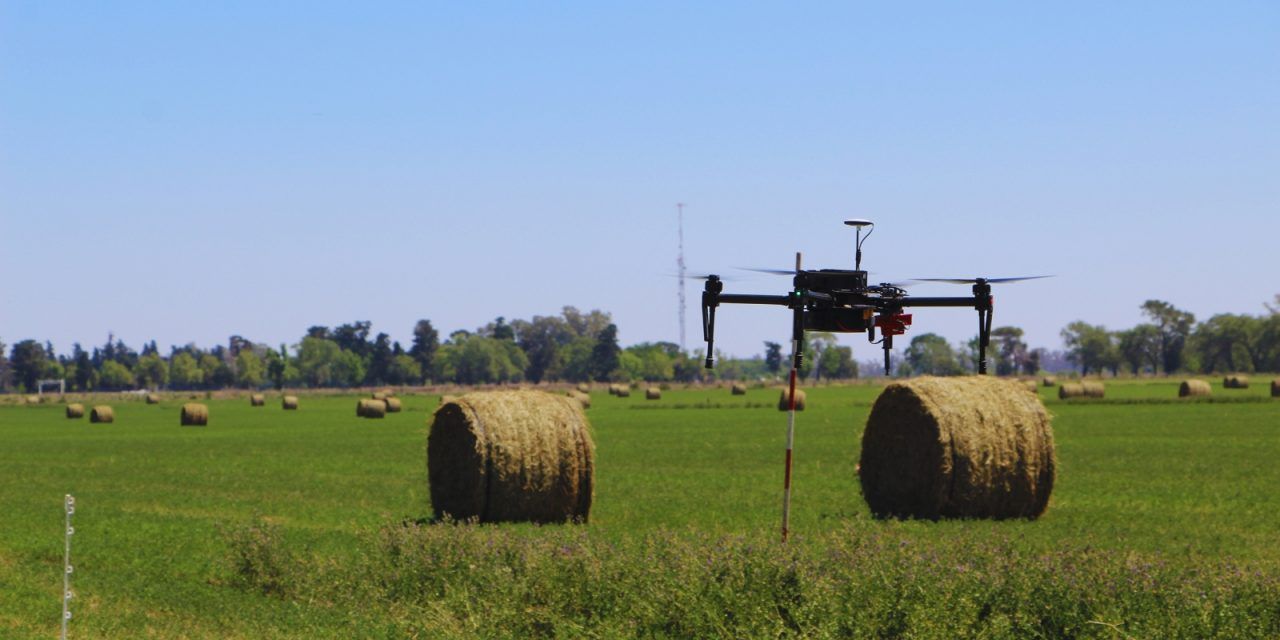 Alfalfa: usan drones para cuantificar la calidad de siembra