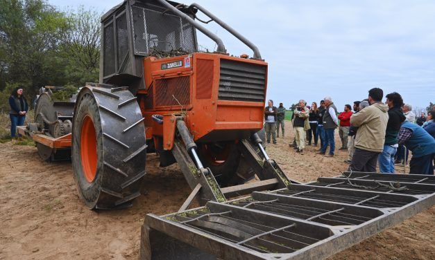 Tatú MBGI, un rolo autopropulsado para sistemas silvopastoriles