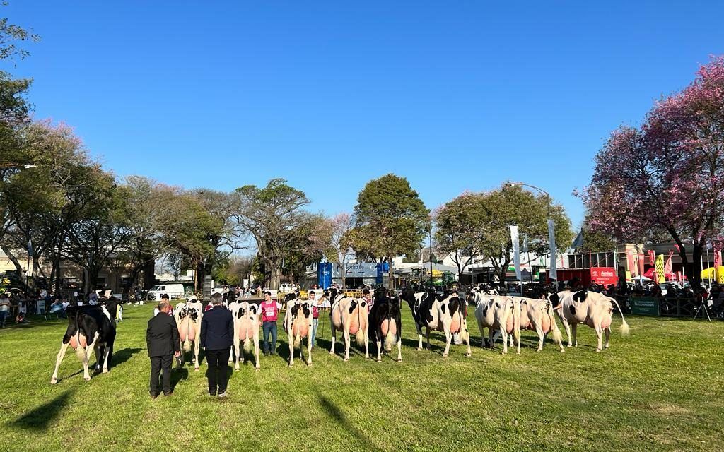 Todo lo que dejó la Expo Rural Rafaela