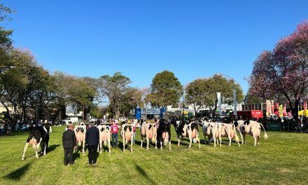 Todo lo que dejó la Expo Rural Rafaela