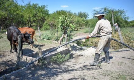 Santa Fe extiende plazos de asistencia a productores
