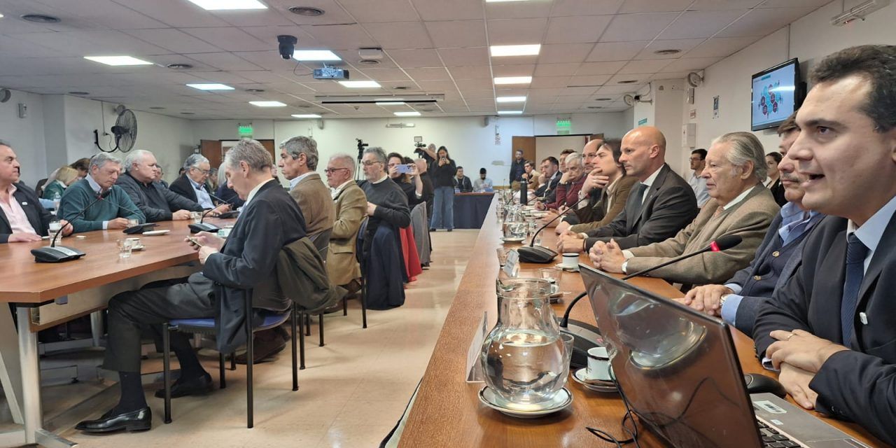 La cadena bovina podría generar 114 mil nuevos puestos de trabajo