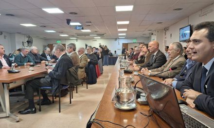 La cadena bovina podría generar 114 mil nuevos puestos de trabajo