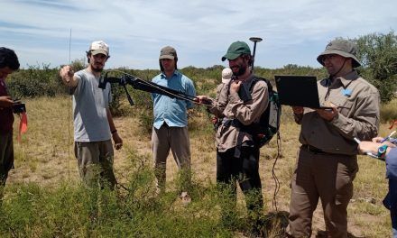 Información satelital para la toma de decisiones en el agro