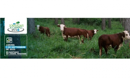 Jornada a Campo del IPCVA en Misiones: madera, carne y huella de carbono