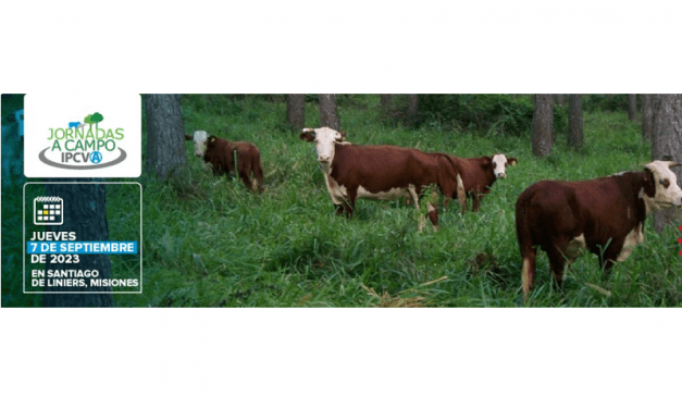 Jornada a Campo del IPCVA en Misiones: madera, carne y huella de carbono