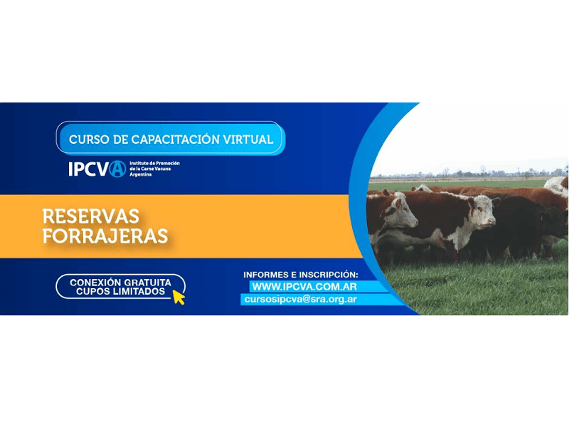 Capacitación virtual del IPCVA: Reservas forrajeras