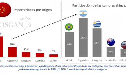 China: un mercado sensible para Argentina