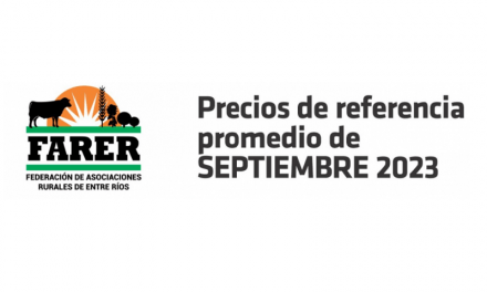 Entre Ríos: caen precios de hacienda pero no en carnicerías