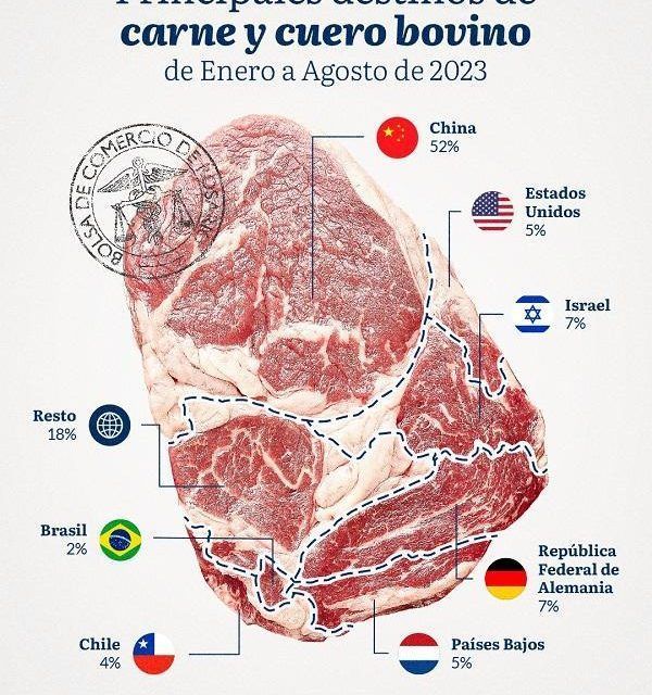 El complejo de carne y cueros bovinos ya aportó cerca de US$ 2.500 M